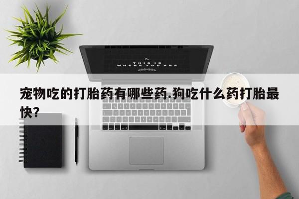 网上米非司酮片在线购买宠物吃的打胎药有哪些药.狗吃什么药打胎最快？