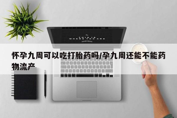 网上米非司酮片在线购买怀孕九周可以吃打胎药吗/孕九周还能不能药物流产