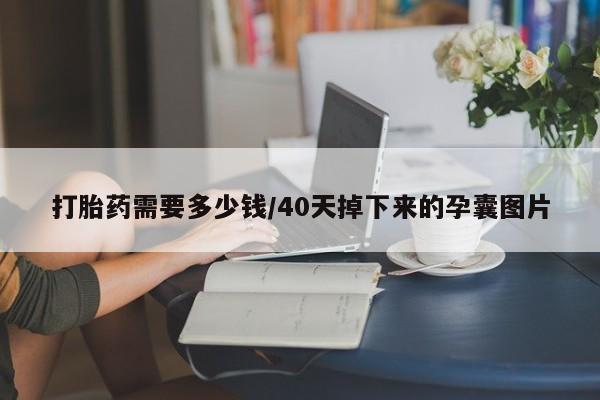 网上米非司酮片在线购买打胎药需要多少钱/40天掉下来的孕囊图片